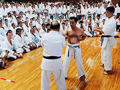 Okinawa Karate Kobudo World Tournament